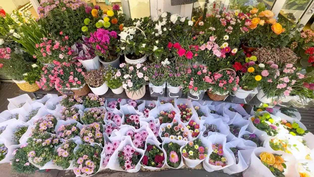 兰州城关区：花卉市场春意浓 &ldquo;花经济&rdquo;绽放新活力