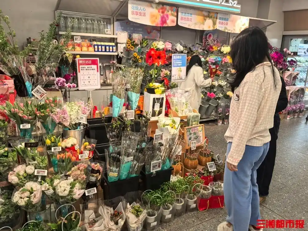 时令花材走俏，价格更亲民！长沙花卉市场迎来春季销售热潮