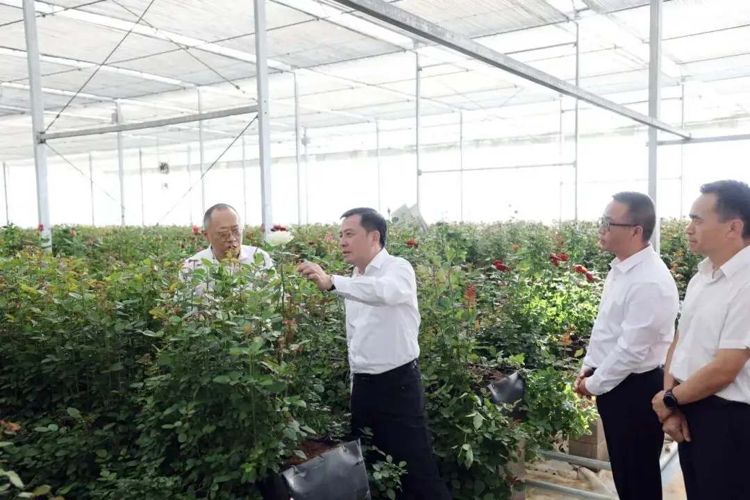 刘洪建率队调研花卉产业发展时强调：着眼全产业链深耕细作 促进产业增值企业增效群众增收 