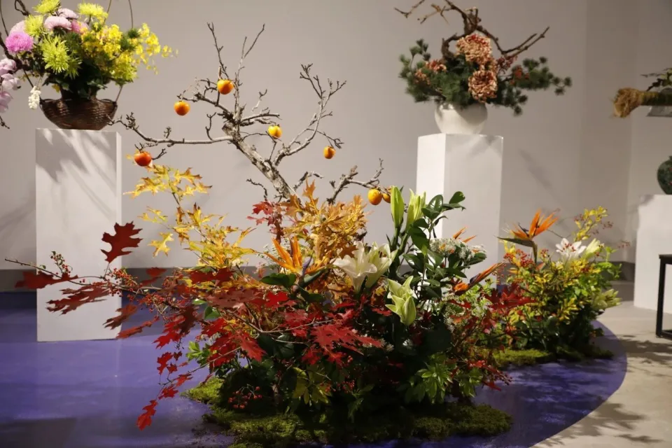 对接全球花卉市场，国际进口花卉博览会论坛及贸易展在青浦举行