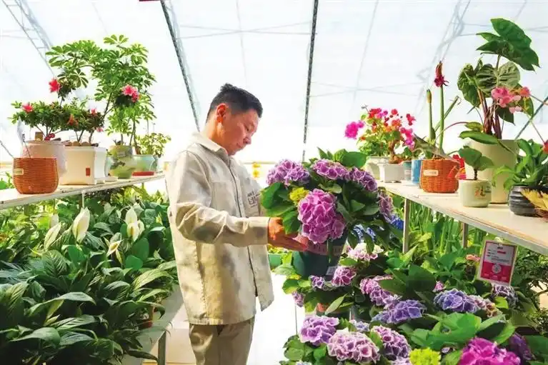 科技赋能花卉产业 晋源绽放&ldquo;美丽经济&rdquo;